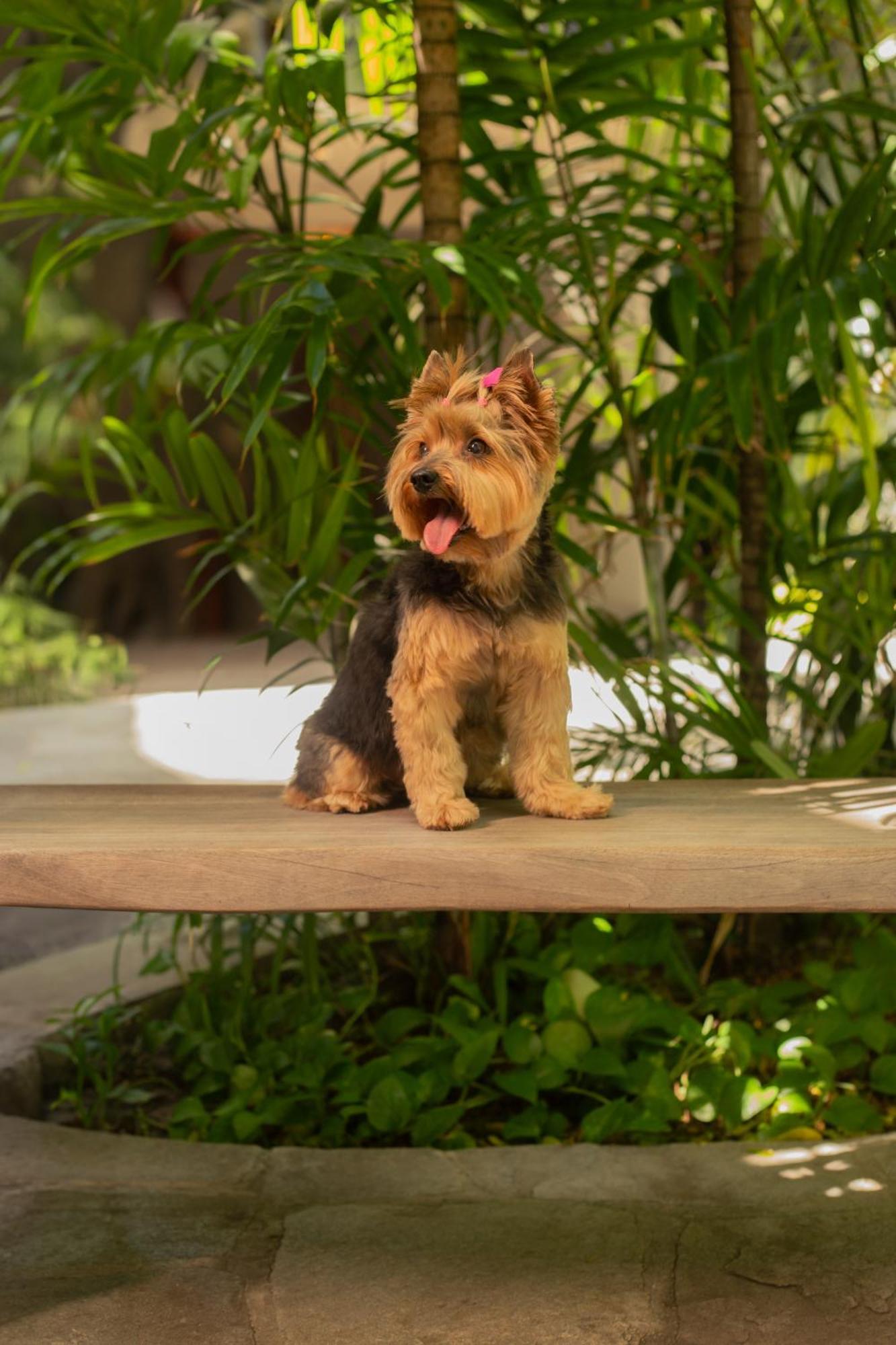 Pauli Boutique Fortaleza (Ceara)