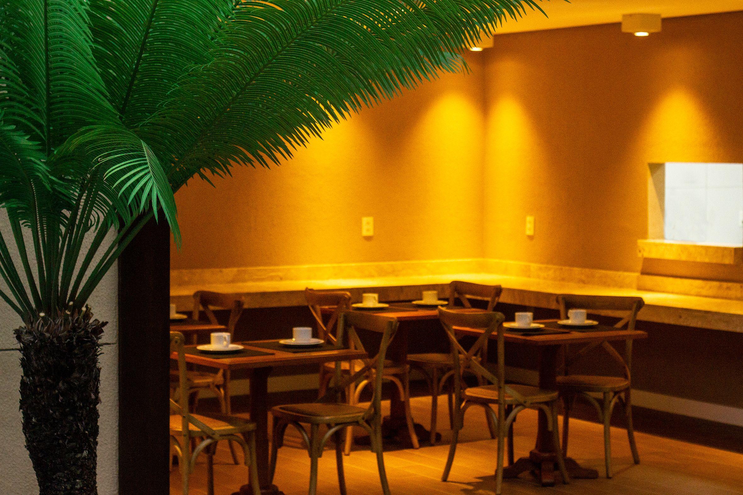 Hotel Pauli Boutique Fortaleza (Ceara)