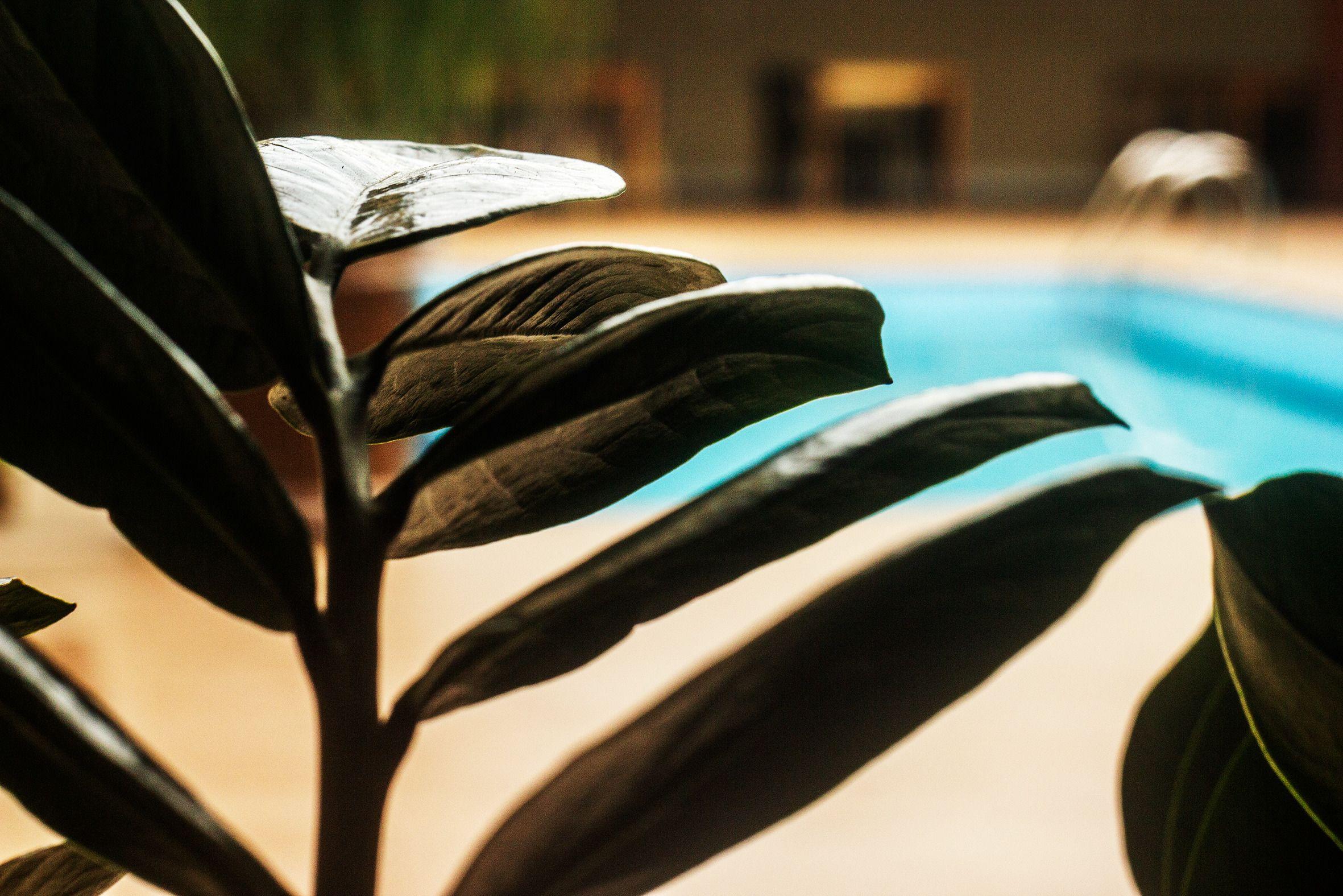 Pauli Boutique Hotel Fortaleza (Ceara)