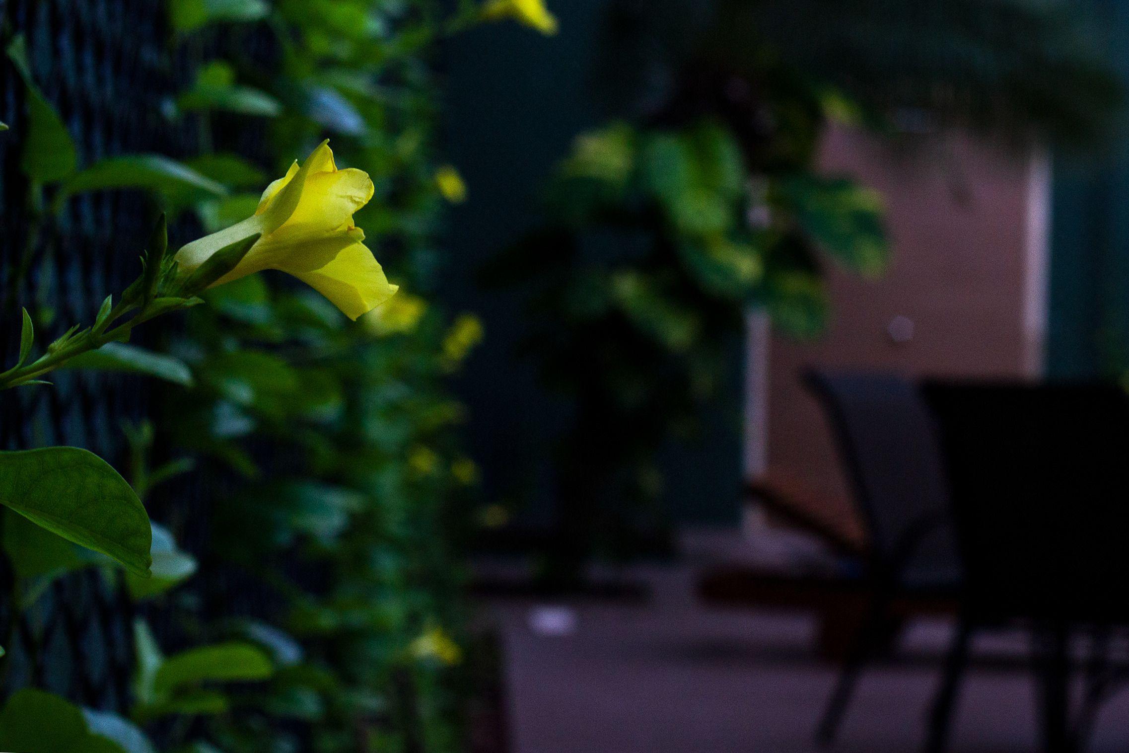 Pauli Boutique 4* Fortaleza (Ceara)